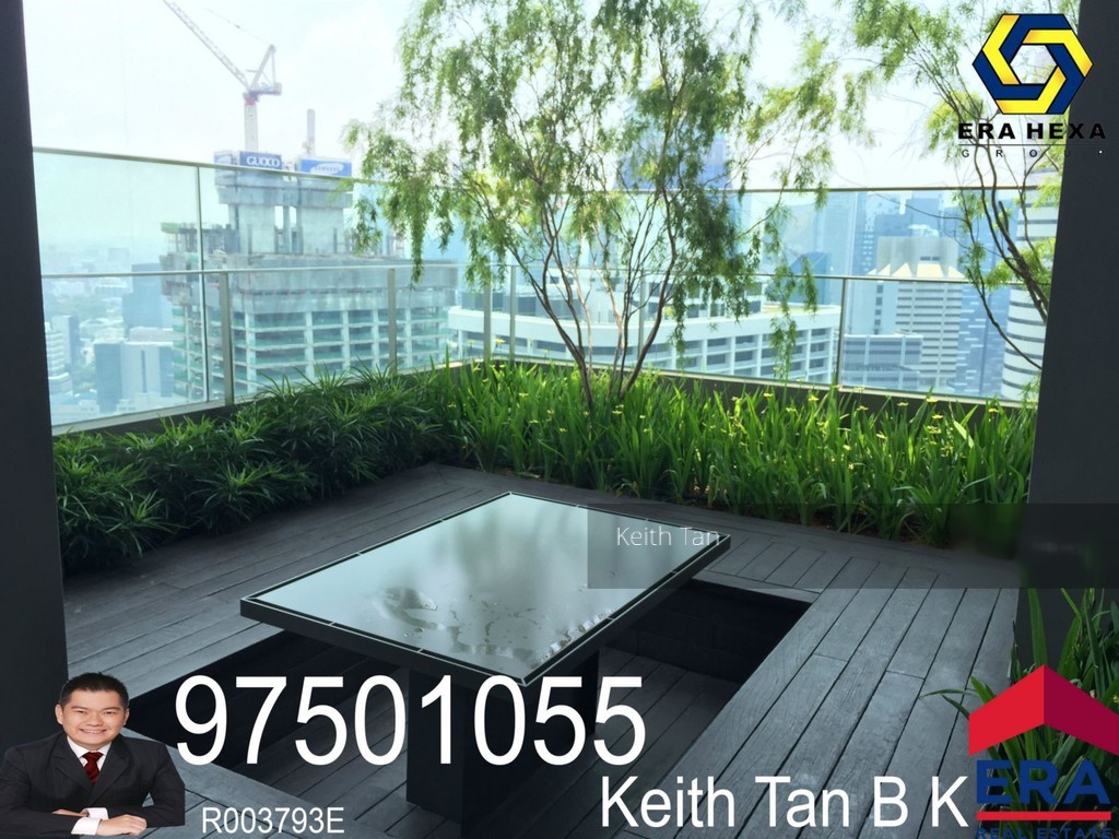 Skysuites@Anson (D2), Apartment #146509432